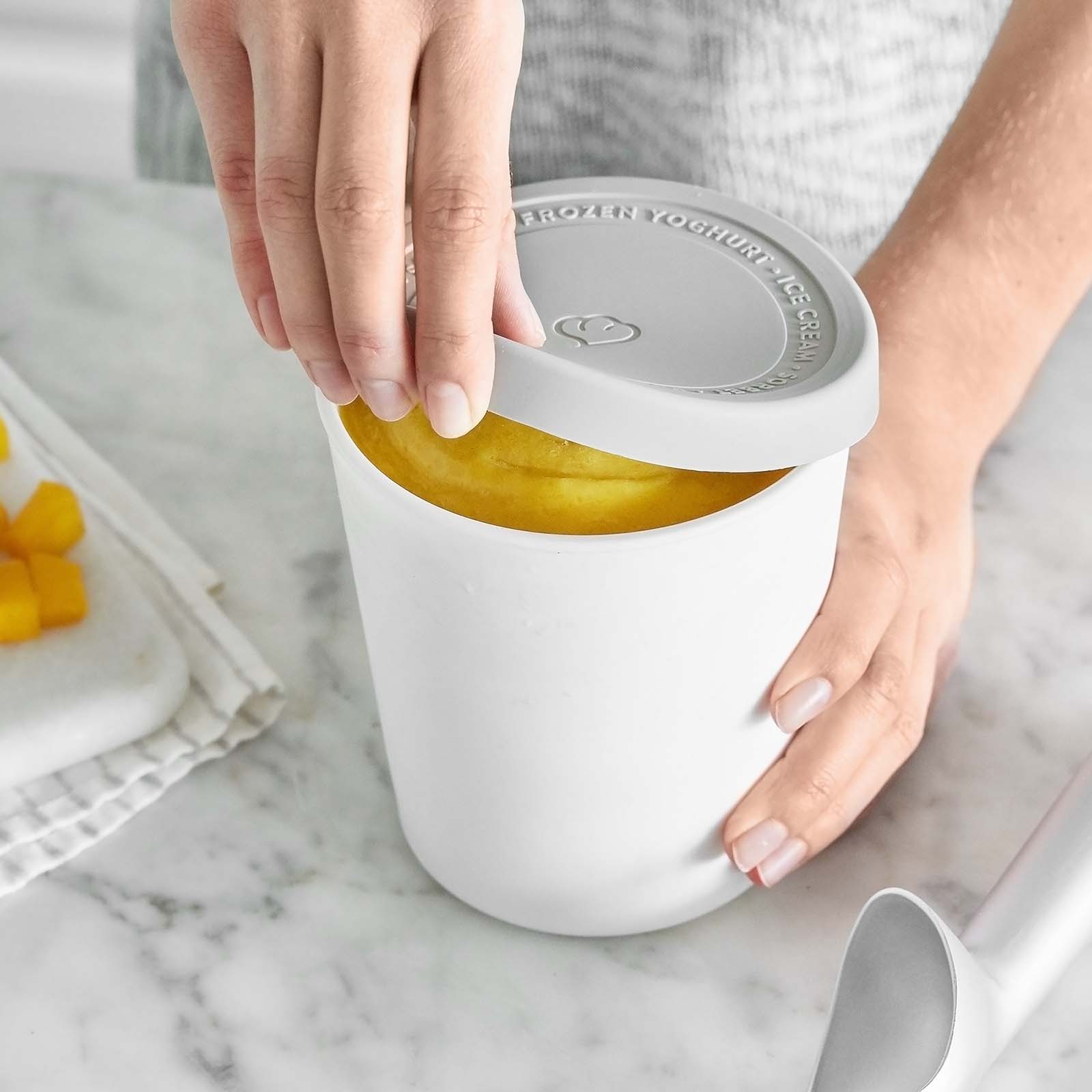 2er-Set Eisbehälter für Speiseeis 1 L, BPA-frei - Grau/Weiß Springlane